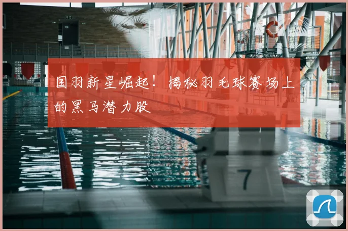 国羽新星崛起！揭秘羽毛球赛场上的黑马潜力股