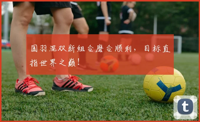 国羽混双新组合磨合顺利，目标直指世界之巅！