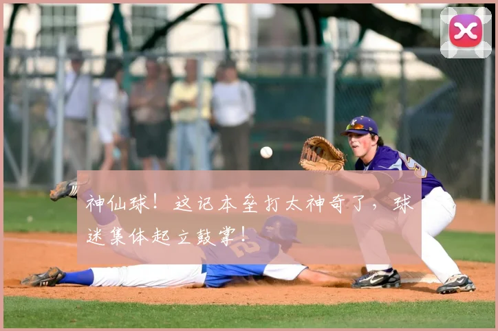 神仙球！这记本垒打太神奇了，球迷集体起立鼓掌！