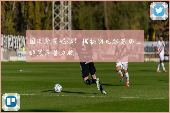国羽新星崛起！揭秘羽毛球赛场上的黑马潜力股