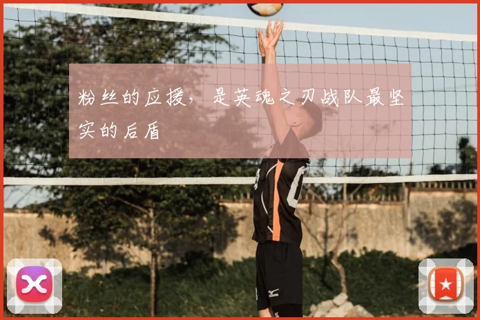 粉丝的应援，是英魂之刃战队最坚实的后盾